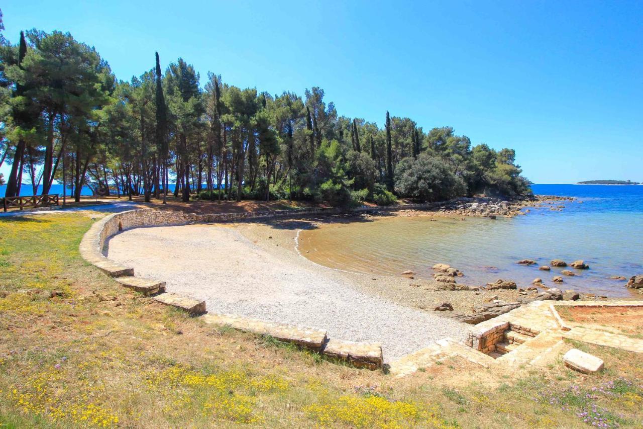 רובינייסקו סלו Vila Una With Private Pool Near Rovinj - Open 2022 מראה חיצוני תמונה