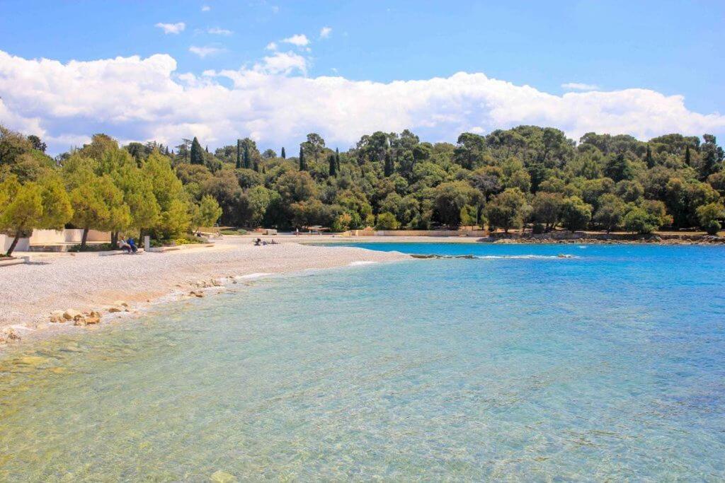 רובינייסקו סלו Vila Una With Private Pool Near Rovinj - Open 2022 מראה חיצוני תמונה