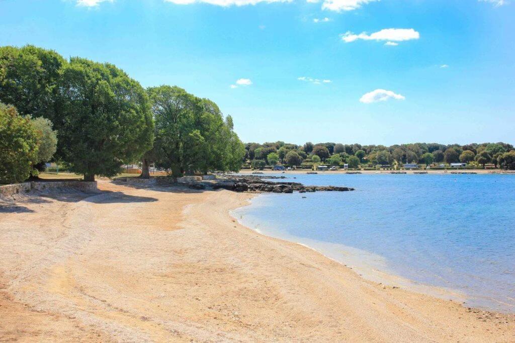 רובינייסקו סלו Vila Una With Private Pool Near Rovinj - Open 2022 מראה חיצוני תמונה